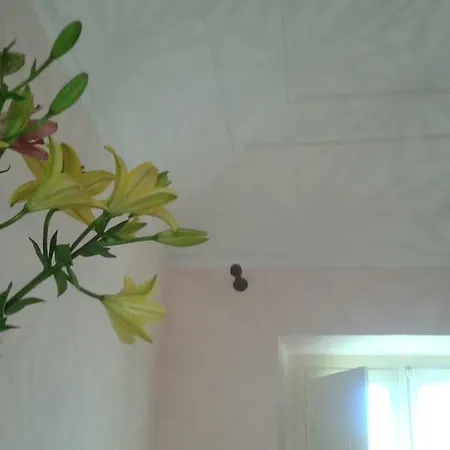 Bed & Breakfast Casa Romantica